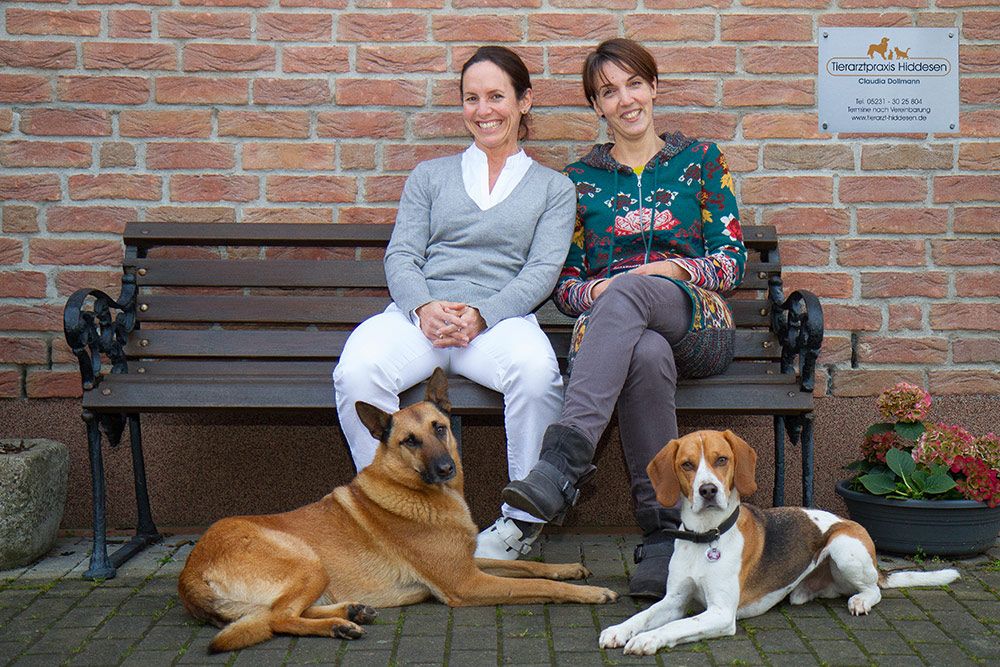 Tierarzt Detmold - Claudia Dollmann und Kristina Starck